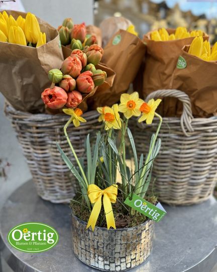Osterfarben im Garten und auf dem Tisch: Gelb und Orange im Fokus